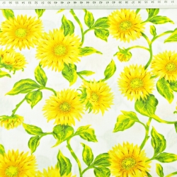 Baumwolle 100% Sonnenblumen auf weißem Hintergrund - 220cm  