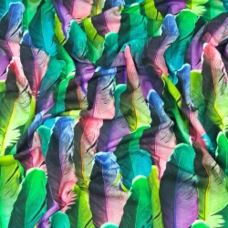 Jersey-Stoff Bunte Federn - Digitaldruck  