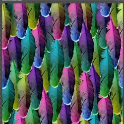 Jersey-Stoff Bunte Federn - Digitaldruck  