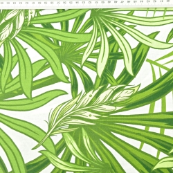 Baumwolle 100% grüne Palm- und Monstera-Blätter auf weißem Hintergrund  