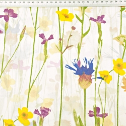 Baumwolle 100% Blumen Kornblumen und Butterblumen auf ecrufarbenem Hintergrund - 220cm  