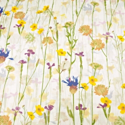 Baumwolle 100% Blumen Kornblumen und Butterblumen auf ecrufarbenem Hintergrund - 220cm  