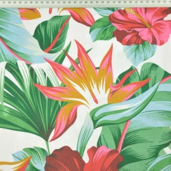 Baumwolle 100% tropische Blumen Hibiskus rosa-grün  