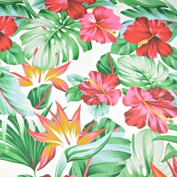 Baumwolle 100% tropische Blumen Hibiskus rosa-grün  