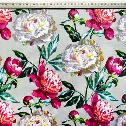 Baumwolle 100% Pfingstrosen rosa-weiß auf grauem Hintergrund  