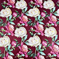 Baumwolle 100% Pfingstrosen rosa-weiß auf bordeaux Hintergrund - 220 cm  