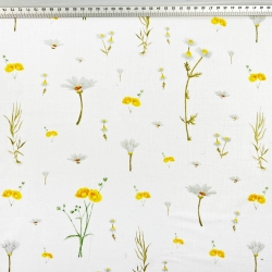 100% Baumwolle mit gelben Wiesenblumen auf weißem Hintergrund  