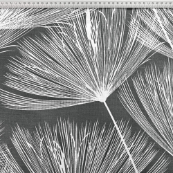 Baumwolle 100% Pusteblumen Fächer weiß auf grauem Hintergrund  