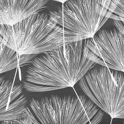 Baumwolle 100% Pusteblumen Fächer weiß auf grauem Hintergrund  