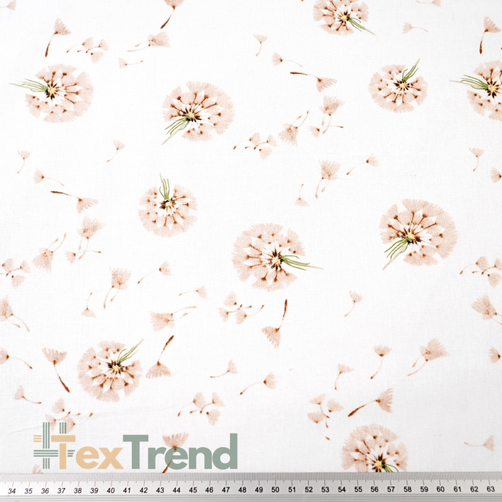Baumwolle 100% Löwenzahn beige auf weißem Hintergrund  