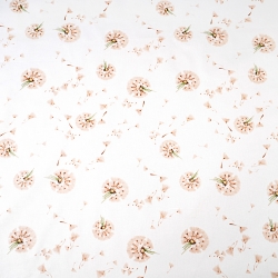 Baumwolle 100% Löwenzahn beige auf weißem Hintergrund  