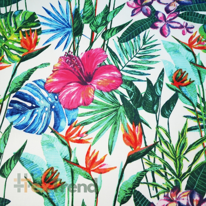 Baumwolle 100% große amaranthfarbene Hibiskusblüten  