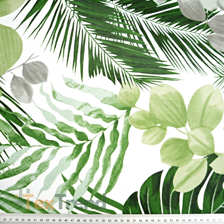 Baumwolle 100% grün-graue Monsterablätter und Eukalyptus  