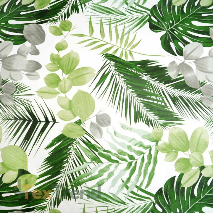 Baumwolle 100% grün-graue Monsterablätter und Eukalyptus  