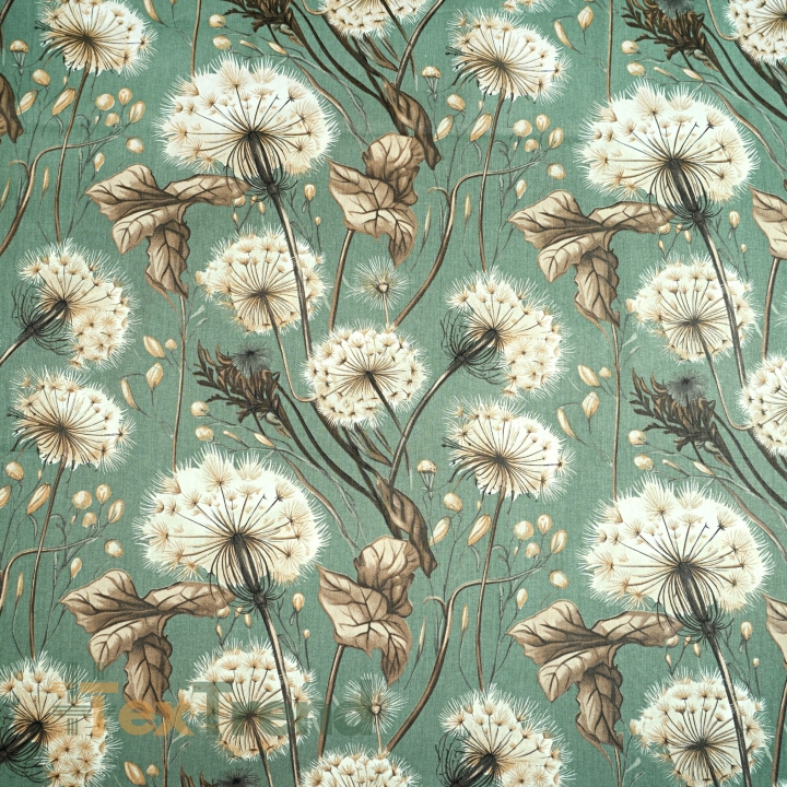 Baumwolle 100% Pusteblumen und Blätter in beige auf salbeigrünem Hintergrund  