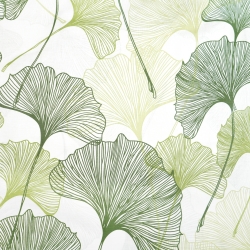 100% Baumwolle Ginkgo-Blätter grüne Konturen auf weißem Hintergrund - 220 cm  