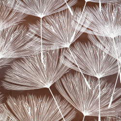 100% Baumwolle Pusteblumen Fächer weiß auf braunem Hintergrund