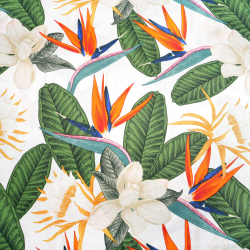 100% Baumwolle mit Strelitzien auf weißem Hintergrund