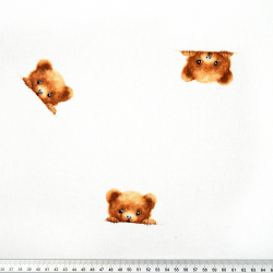 100% Baumwolle braune Bärenköpfe auf weißem Hintergrund