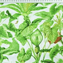 100% Baumwolle grüne Blätter im Dschungel auf weißem Hintergrund  