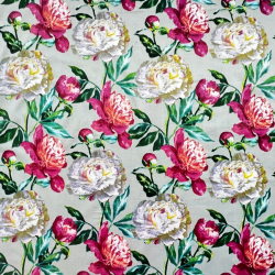 100% Baumwolle Pfingstrosen in Rosa und Weiß auf grauem Hintergrund - 220 cm