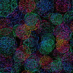 Baumwoll French Terry Stoff digitaldruck - bunte Blasen auf schwarzem Hintergrund