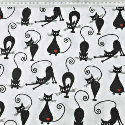 Flanellstoff / Baumwollflanell – weich – Kätzchen auf weißem Hintergrund