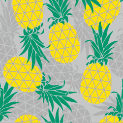 Wasserdichter Stoff / Outdoorstoff – strapazierfähig – Ananas