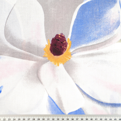 100% Baumwolle mit Magnolienblüten in saphirgrau auf weißem Hintergrund