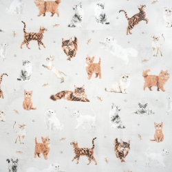 100% Baumwolle Rassekatzen auf hellgrauem Hintergrund