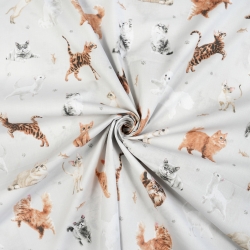 100% Baumwolle Rassekatzen auf hellgrauem Hintergrund