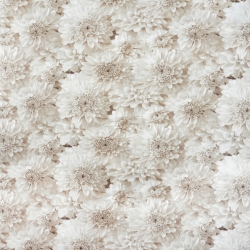 100% Baumwolle Dahlien Blumen Beige 3D
